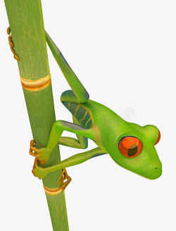 竹子上绿色青蛙树蛙素材