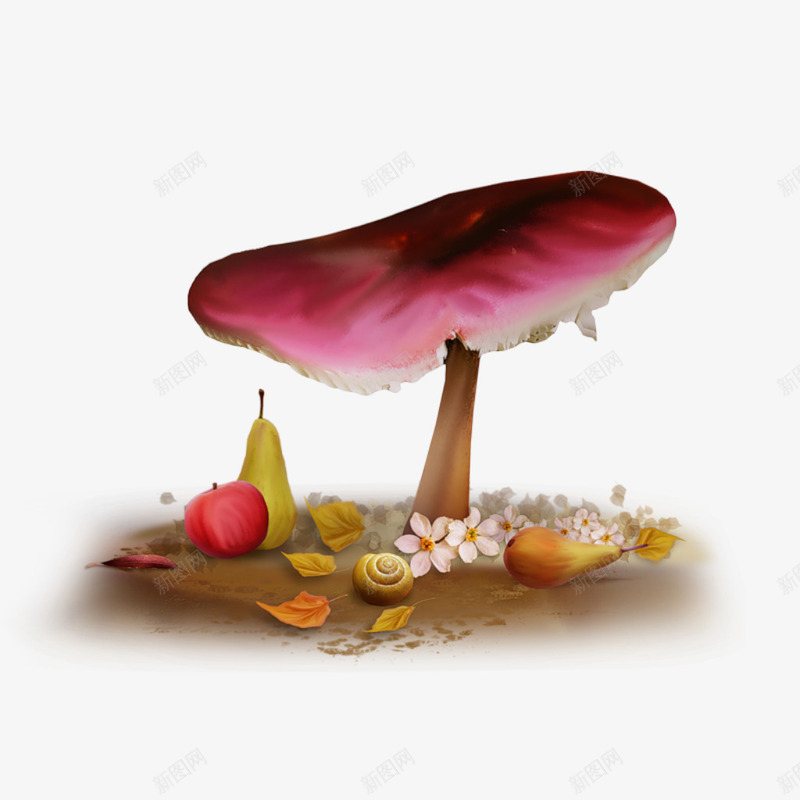 森林蘑菇png免抠素材_新图网 https://ixintu.com 丰收 果实 田园 田园风 秋收 装饰