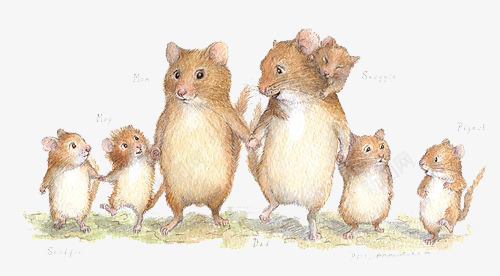 老鼠png免抠素材_新图网 https://ixintu.com 仓鼠 儿童 卡通 可爱 手绘 拟人 插画 文艺 清新 绘本 老鼠 老鼠生日