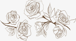 玫瑰花封面手绘玫瑰花高清图片