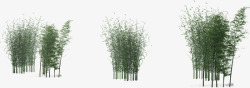 绿色夏季竹子装饰素材