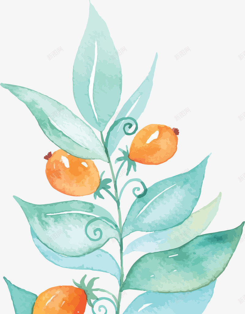 热带植物叶子装饰png免抠素材_新图网 https://ixintu.com 叶子 夏季树叶 树叶插画 植物 水彩 热带植物