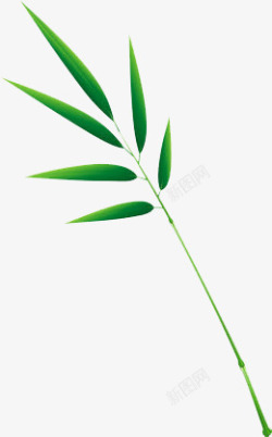 一束绿竹子素材