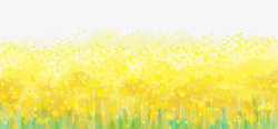 田野风景春天风景水彩黄色油菜花田野插画高清图片