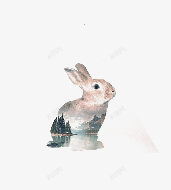 剪影兔子png免抠素材_新图网 https://ixintu.com 兔子 兔子形状 创意 动物 卡通 双重曝光 手绘 插画 水彩