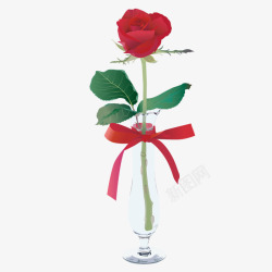 玫瑰花花瓶玫瑰插花高清图片