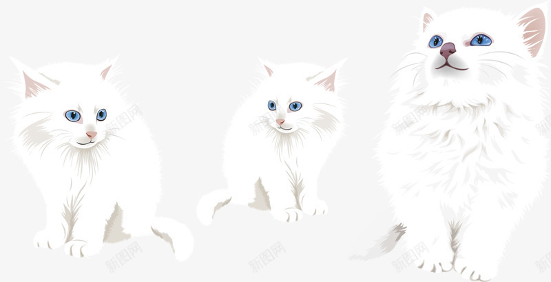 卡通手绘小猫png免抠素材_新图网 https://ixintu.com 可爱 宠物 白色 蓝眼睛