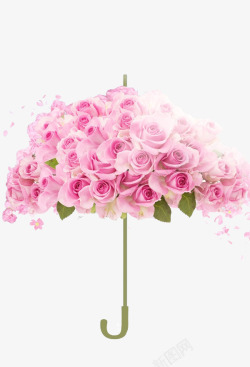 娇艳花朵粉色玫瑰高清图片