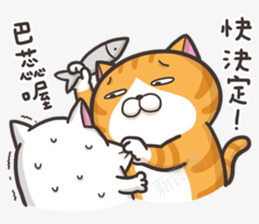 厉害的黄色爱打人的小猫png免抠素材_新图网 https://ixintu.com 厉害 黄色