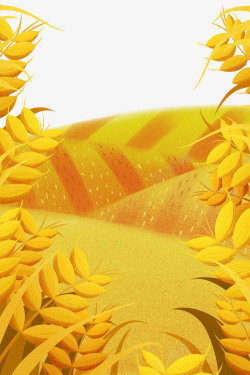 芒种黄色唯美二十四节气芒种麦田丰收高清图片