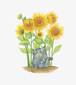 大黄色猫咪向日葵鲜花高清图片