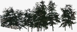 创意海报冬天的森林合成png免抠素材_新图网 https://ixintu.com 冬天 创意 合成 森林 海报