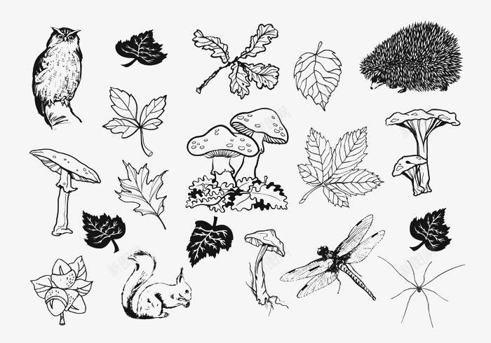 手绘自然秋季png免抠素材_新图网 https://ixintu.com 卡通手绘 蘑菇 蝴蝶