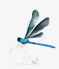 蓝色蜻蜓水彩蜻蜓高清图片