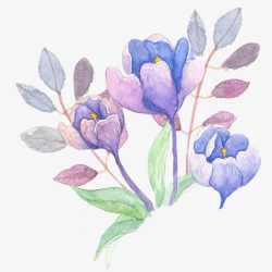 彩绘树枝紫色花朵水彩彩绘花卉花朵装饰矢高清图片