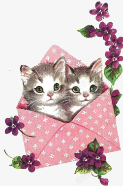 玫粉色的信封信封花朵高清图片
