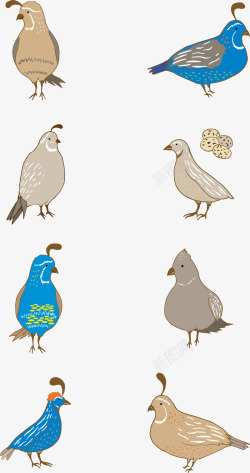 咖色花盆蓝色咖色鹌鹑鸟蛋插画形矢量图高清图片