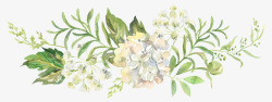 白色花儿手绘水彩唯美花卉高清图片