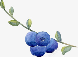 蓝莓之夜广告海报手绘蓝莓插画高清图片