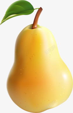 质感水果手绘黄色梨子叶子高清图片