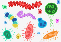 创意细菌矢量彩色昆虫高清图片