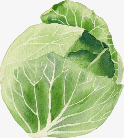 卡通手绘蔬菜装饰海报包菜素材
