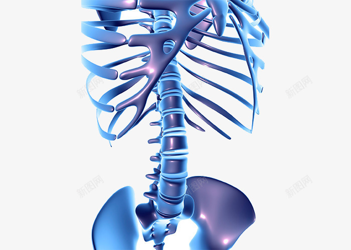 科技骨骼psd免抠素材_新图网 https://ixintu.com 人体结构 未来 蓝色 骨头