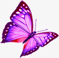 紫色卡通手绘蝴蝶装饰庆典素材