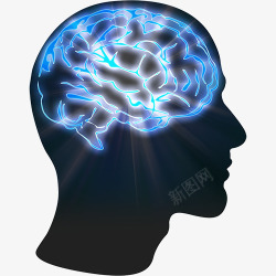 人物大脑png高科技大脑实物高清图片