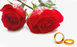 水珠玫瑰花背景图片鲜花戒指高清图片
