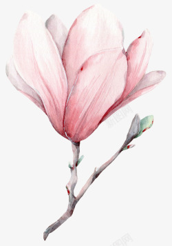 手绘粉色的小清新花朵素材