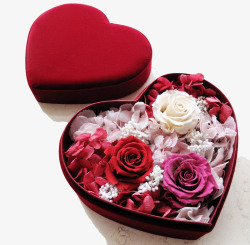 永生玫瑰音乐盒干玫瑰永生花红色实物促销高清图片