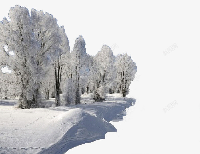 冬天的雪景png免抠素材_新图网 https://ixintu.com 冬天 冬天里的树 雪 雪景