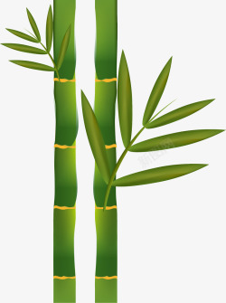 植物竹子矢量图素材