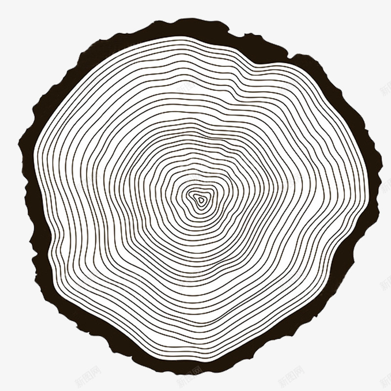 树的年轮图案png免抠素材_新图网 https://ixintu.com 创意图案 创意年轮纹理 卡通插画 实木年轮 手绘图案 挂画 树的年轮 树纹年轮