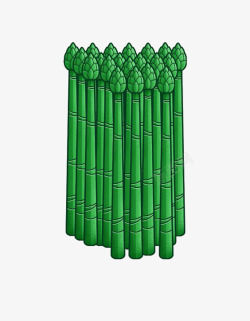 绿色竹笋素材