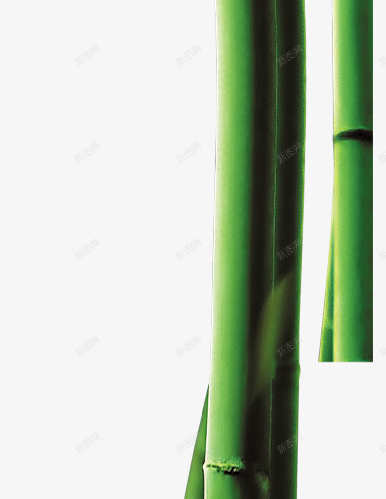 绿色竹子装饰图案png免抠素材_新图网 https://ixintu.com 图案 竹子 绿色 装饰 设计