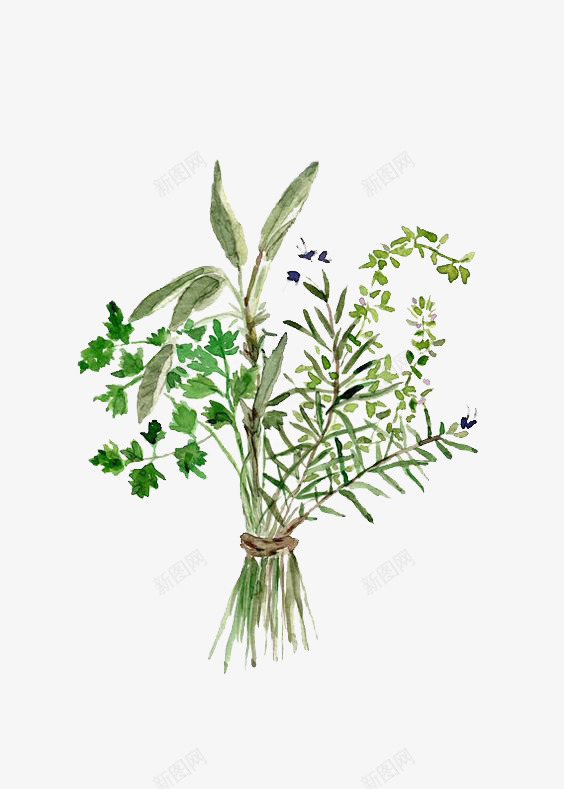 植物png免抠素材_新图网 https://ixintu.com 手绘 插画 插花 文艺 植物 清新 绿色 花瓶