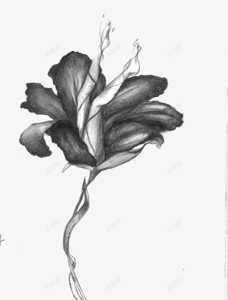 墨水画png免抠素材_新图网 https://ixintu.com 盛开的花 花中的两条腿 黑色的花 黑色的花蕊