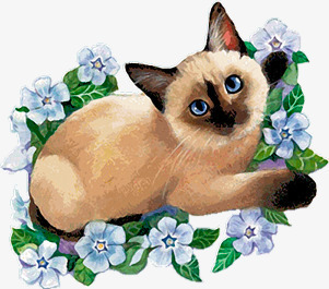 小猫动物png免抠素材_新图网 https://ixintu.com 动物 卡通 卡通猫咪 可爱 宠物 小猫 猫咪 猫猫