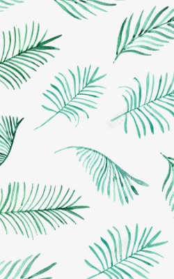 椰子片绿色叶片底纹高清图片