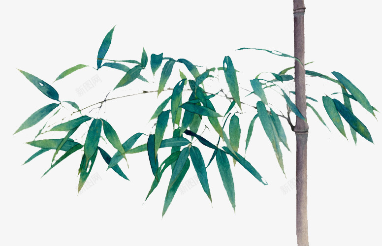 翠绿的竹子png免抠素材_新图网 https://ixintu.com 手绘 植物 竹叶 绿色 装饰