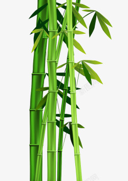 竹叶素材