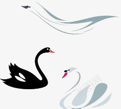 天鹅png免抠素材_新图网 https://ixintu.com 中国风 情人节装饰 黑白天鹅