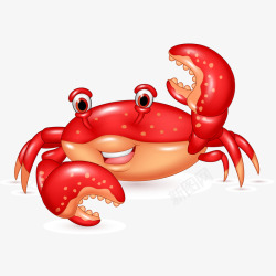 卡通的螃蟹新鲜大闸蟹插画矢量图高清图片