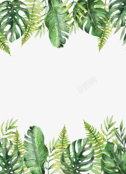 龟背竹手绘手绘水彩龟背竹绿叶背景装饰高清图片