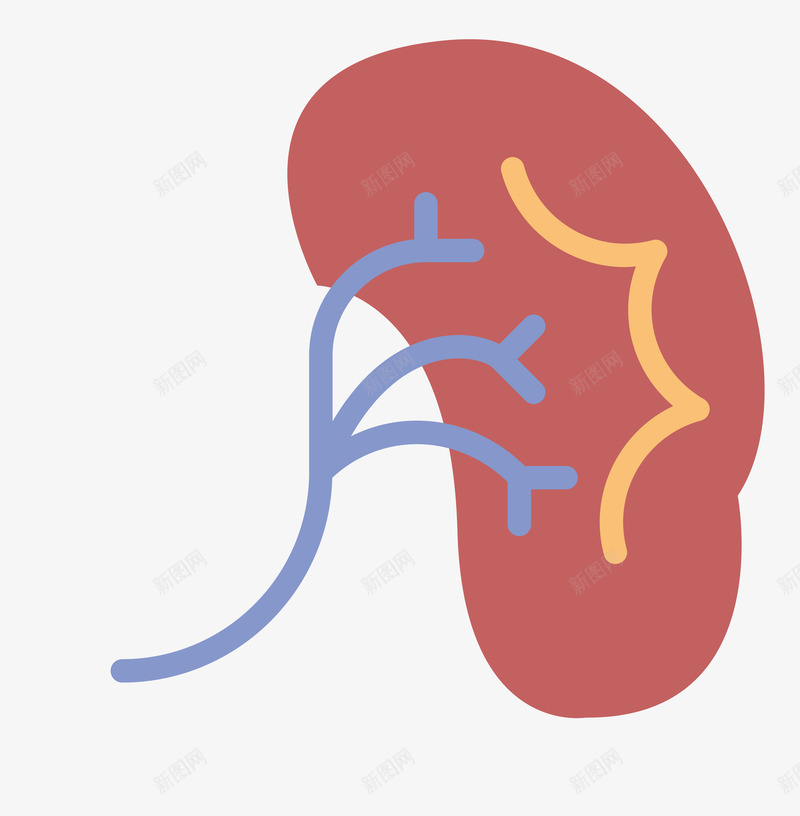 水彩红色手绘脾脏png免抠素材_新图网 https://ixintu.com 创意 卡通 手绘 新意 水彩 笔刷 脾脏 设计