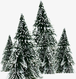 树木白茫茫冬天景观素材