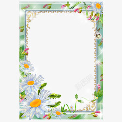 漂亮可爱的花朵藤蔓情人节花卉相框高清图片