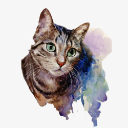 猫咪生动彩绘画片素材